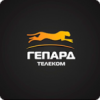 Гепард Телеком