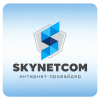 Skynetcom